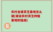 农村自建灵芝基地怎么建(建设农村灵芝种植基地的指南)