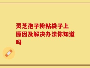灵芝孢子粉粘袋子上 原因及解决办法你知道吗