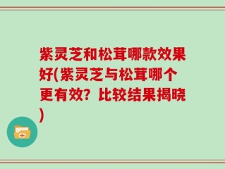 紫灵芝和松茸哪款效果好(紫灵芝与松茸哪个更有效？比较结果揭晓)