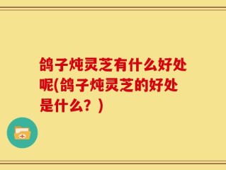 鸽子炖灵芝有什么好处呢(鸽子炖灵芝的好处是什么？)