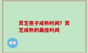 灵芝孢子成熟时间？灵芝成熟的最佳时间