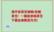 海宁挖灵芝视频(挖掘灵芝！一掘出翠绿灵芝下载达成数百万次)