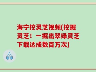 海宁挖灵芝视频(挖掘灵芝！一掘出翠绿灵芝下载达成数百万次)