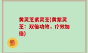 黄灵芝紫灵芝(黄紫灵芝：双倍功效，疗效加倍)