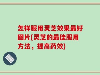 怎样服用灵芝效果最好图片(灵芝的最佳服用方法，提高药效)