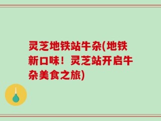 灵芝地铁站牛杂(地铁新口味！灵芝站开启牛杂美食之旅)
