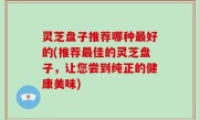 灵芝盘子推荐哪种最好的(推荐最佳的灵芝盘子，让您尝到纯正的健康美味)