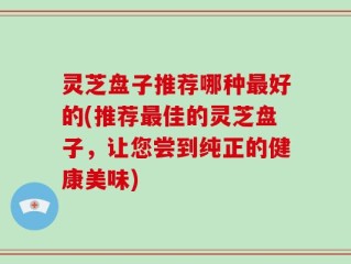 灵芝盘子推荐哪种最好的(推荐最佳的灵芝盘子，让您尝到纯正的健康美味)