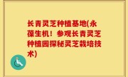 长青灵芝种植基地(永葆生机！参观长青灵芝种植园探秘灵芝栽培技术)