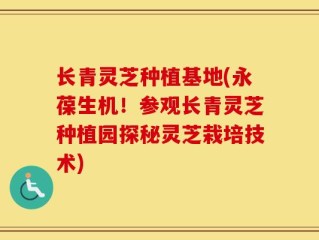 长青灵芝种植基地(永葆生机！参观长青灵芝种植园探秘灵芝栽培技术)