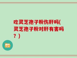 吃灵芝孢子粉伤肝吗(灵芝孢子粉对肝有害吗？)