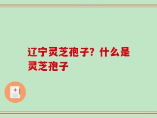 辽宁灵芝孢子？什么是灵芝孢子