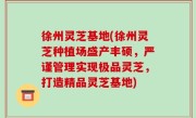 徐州灵芝基地(徐州灵芝种植场盛产丰硕，严谨管理实现极品灵芝，打造精品灵芝基地)