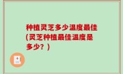 种植灵芝多少温度最佳(灵芝种植最佳温度是多少？)