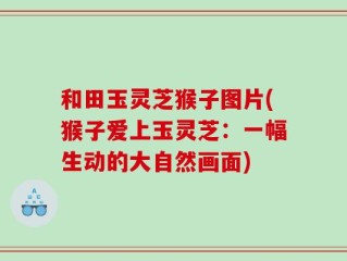 和田玉灵芝猴子图片(猴子爱上玉灵芝：一幅生动的大自然画面)