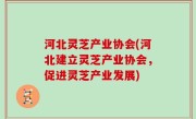 河北灵芝产业协会(河北建立灵芝产业协会，促进灵芝产业发展)