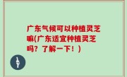 广东气候可以种植灵芝嘛(广东适宜种植灵芝吗？了解一下！)
