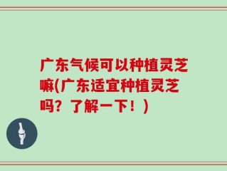 广东气候可以种植灵芝嘛(广东适宜种植灵芝吗？了解一下！)