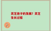 灵芝孢子的发展？灵芝生长过程