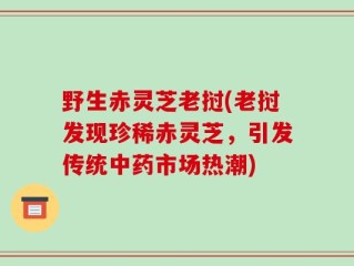 野生赤灵芝老挝(老挝发现珍稀赤灵芝，引发传统中药市场热潮)