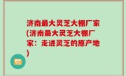 济南最大灵芝大棚厂家(济南最大灵芝大棚厂家：走进灵芝的原产地)