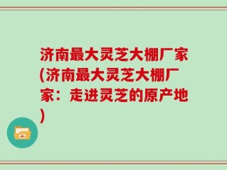 济南最大灵芝大棚厂家(济南最大灵芝大棚厂家：走进灵芝的原产地)