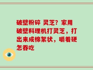 破壁粉碎 灵芝？家用破壁料理机打灵芝，打出来成棉絮状，嚼着硬怎吞吃