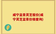 咸宁盆景灵芝报价(咸宁灵芝盆景价格查询)