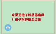 吃灵芝孢子粉易得痛风？孢子粉种植全过程