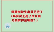 哪些树能生出灵芝孢子(具有灵芝孢子生长能力的树种是哪些？)