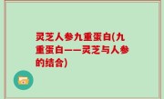 灵芝人参九重蛋白(九重蛋白——灵芝与人参的结合)
