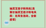 抽灵芝孢子粉风机(高赛尔抽灵芝孢子粉电风扇：无风生浩动，全新感受)