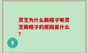 灵芝为什么戴帽子呢灵芝戴帽子的原因是什么？
