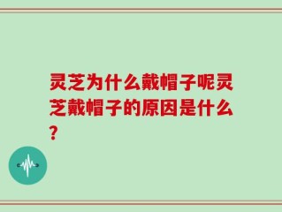 灵芝为什么戴帽子呢灵芝戴帽子的原因是什么？