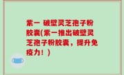 紫一 破壁灵芝孢子粉胶囊(紫一推出破壁灵芝孢子粉胶囊，提升免疫力！)