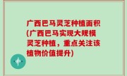 广西巴马灵芝种植面积(广西巴马实现大规模灵芝种植，重点关注该植物价值提升)