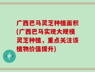 广西巴马灵芝种植面积(广西巴马实现大规模灵芝种植，重点关注该植物价值提升)