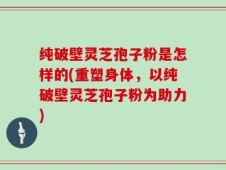 纯破壁灵芝孢子粉是怎样的(重塑身体，以纯破壁灵芝孢子粉为助力)