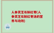 人参灵芝石斛红枣(人参灵芝石斛红枣汤的营养与功效)