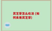 灵芝芽怎么吃法 (如何食用灵芝芽)