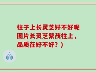 柱子上长灵芝好不好呢图片长灵芝繁茂柱上，品质在好不好？)