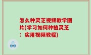 怎么种灵芝视频教学图片(学习如何种植灵芝：实用视频教程)