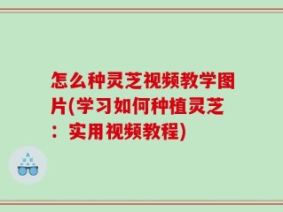 怎么种灵芝视频教学图片(学习如何种植灵芝：实用视频教程)