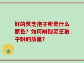 好的灵芝孢子粉是什么原色？如何辨别灵芝孢子粉的质量？