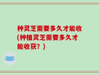 种灵芝需要多久才能收(种植灵芝需要多久才能收获？)