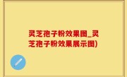 灵芝孢子粉效果图_灵芝孢子粉效果展示图)
