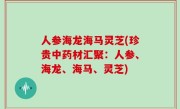 人参海龙海马灵芝(珍贵中药材汇聚：人参、海龙、海马、灵芝)