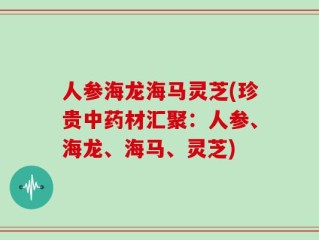 人参海龙海马灵芝(珍贵中药材汇聚：人参、海龙、海马、灵芝)