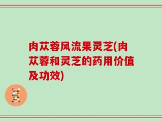 肉苁蓉风流果灵芝(肉苁蓉和灵芝的药用价值及功效)