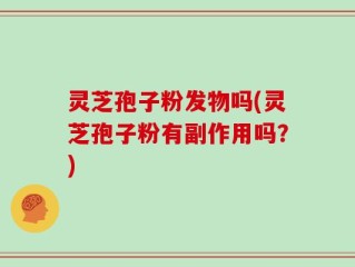灵芝孢子粉发物吗(灵芝孢子粉有副作用吗？)